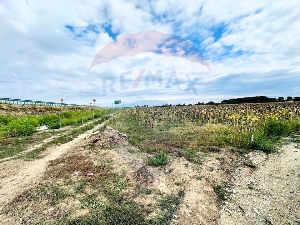 Land 14,863sqm Ciorogarla / None