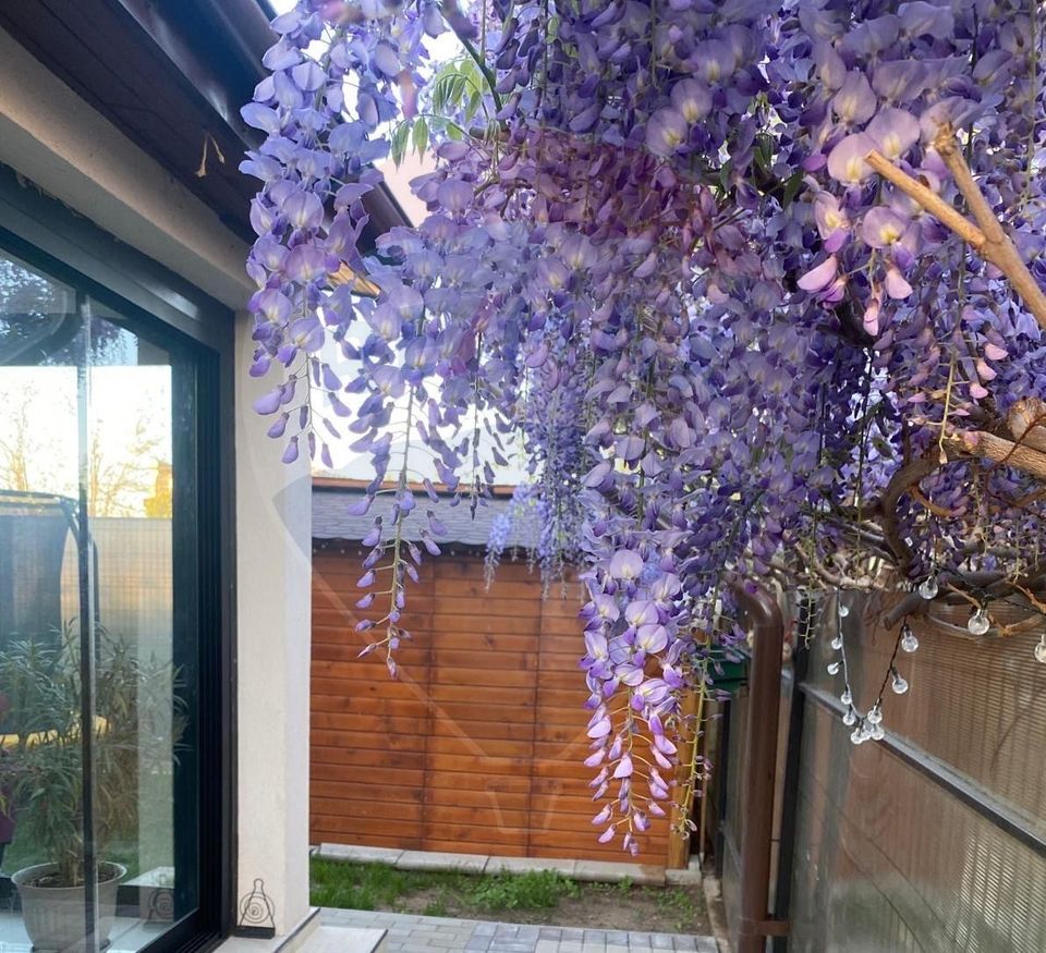 Casă / Vilă de vanzare in Otopeni, ansamblu rezidential, langa centru