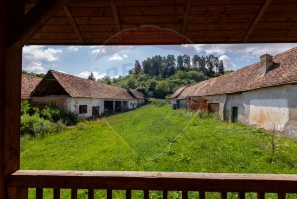 10 room House / Villa for sale