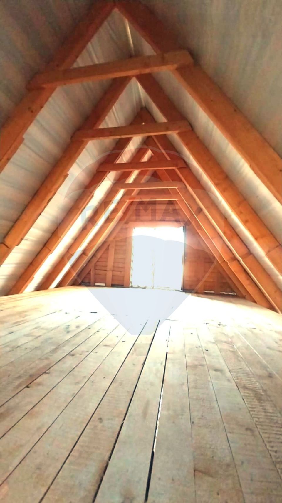 Casă unifamilială Snagov