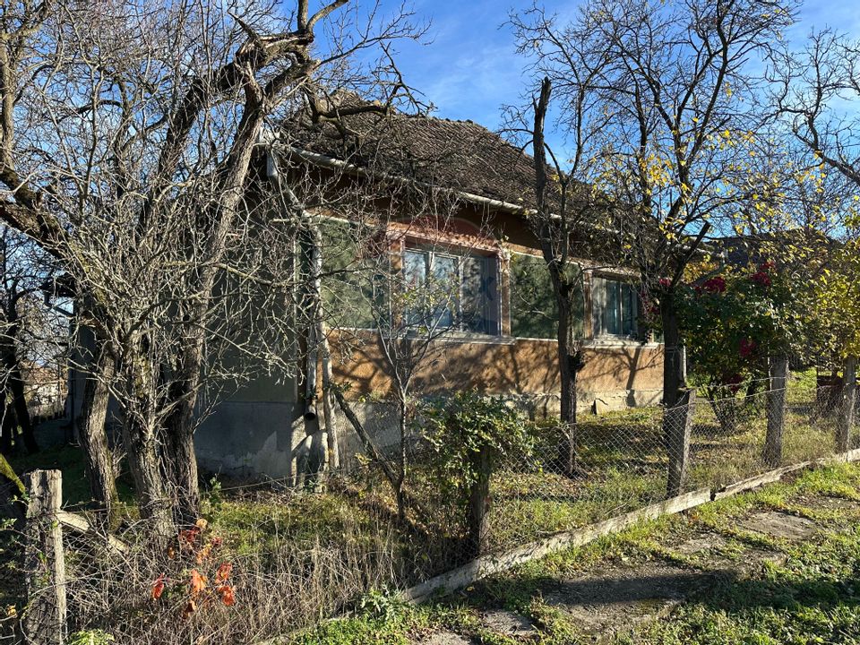 GOSPODARIE - liniste - natura - DE VANZARE