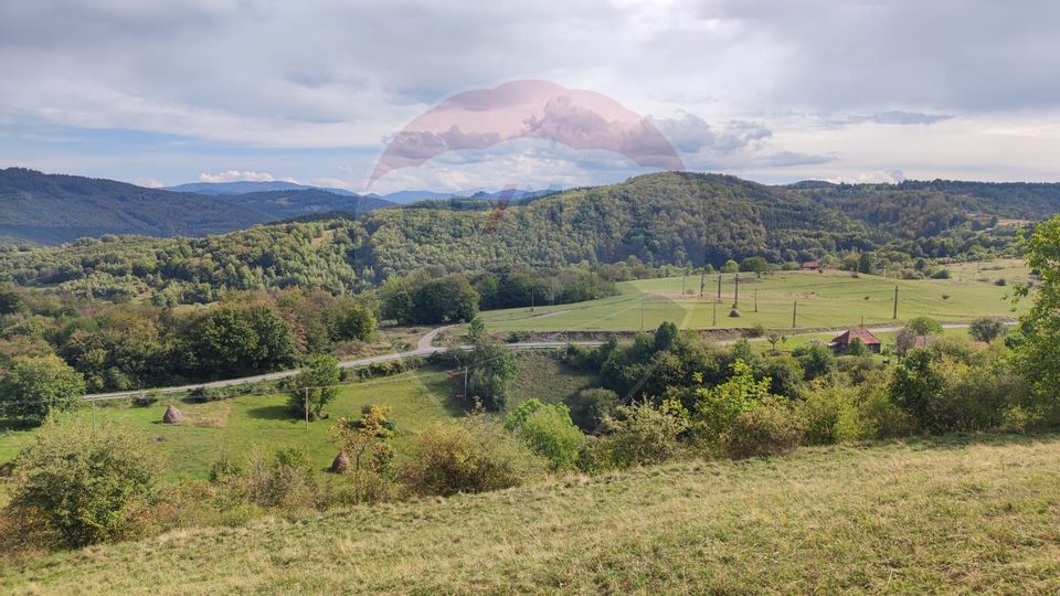 Teren constructii si faneata/livada 3082 mp Damis Bratca drum DJ 764D