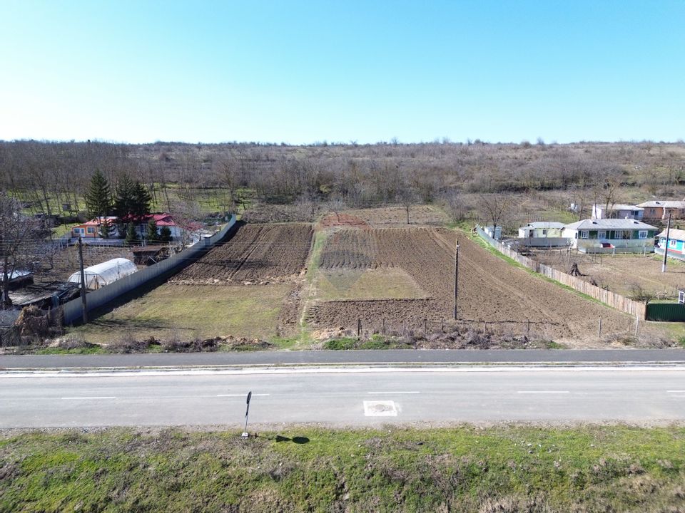 Land 5,313sqm Odaia Manolache / Strada Valea lui Manolache