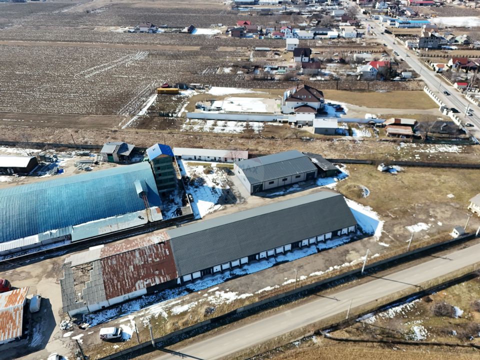 Hale industriale de închiriat în Tg Neamț