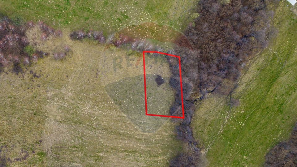 Land 480sqm Zarnesti / Drumul DJ112H