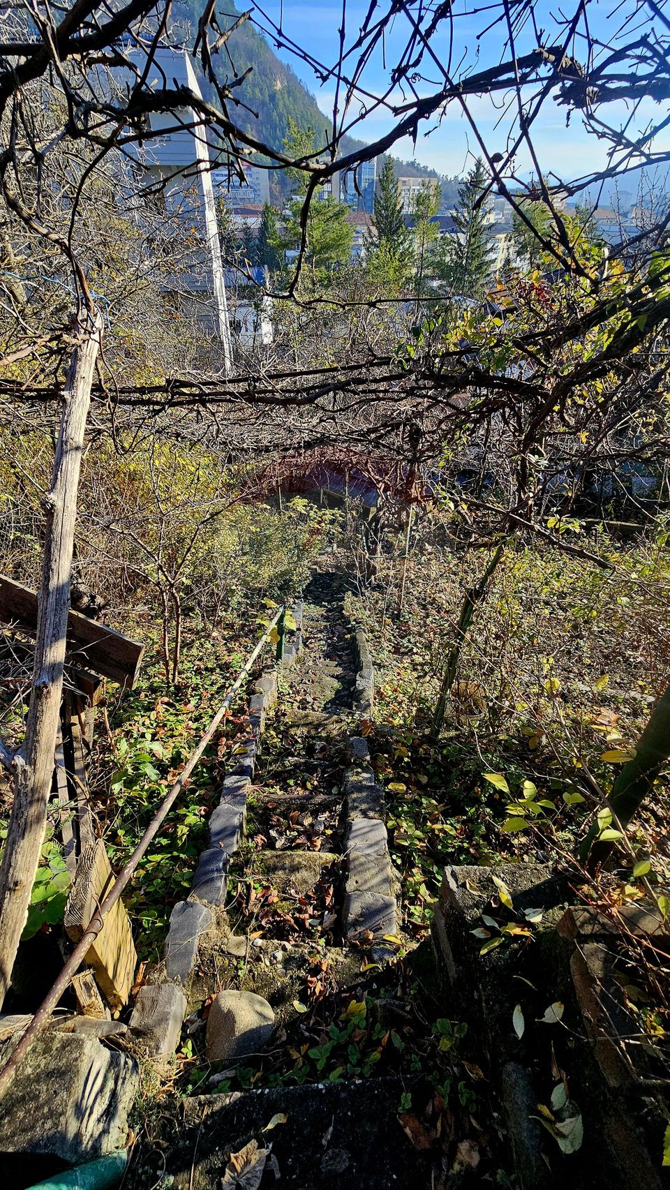 3 room Apartment for sale, Central area