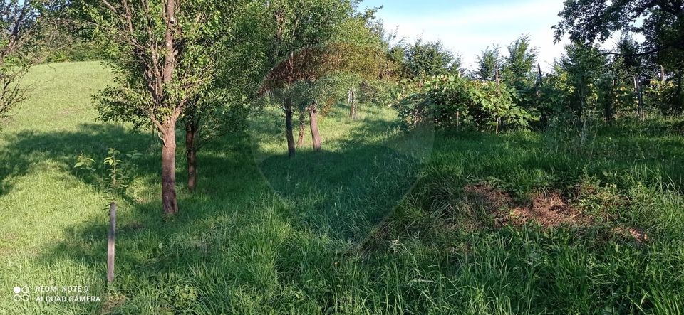 Land 4,352sqm Baita / Strada 80