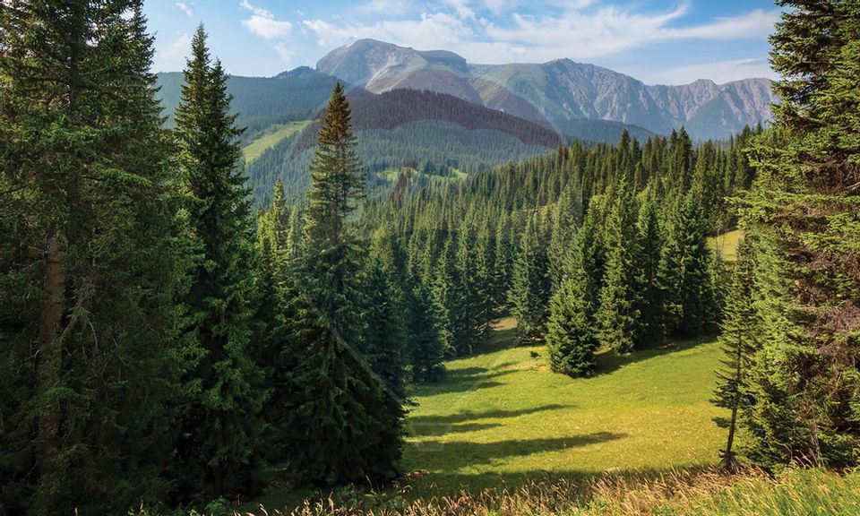 Studio premium -Poiana Ski Chalet,investiție smart în inima stațiunii