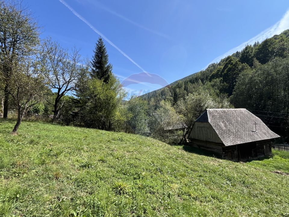 Land 2,000sqm Rachitele / Strada Principala