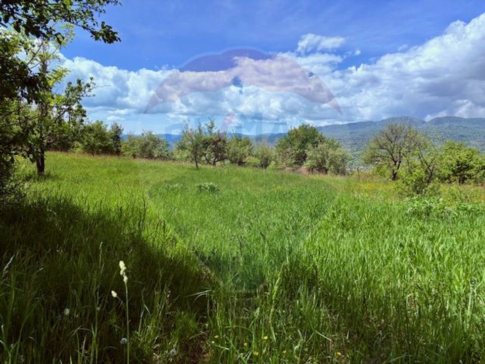 Teren 5,565mp Giulesti / Strada PRINCIPALA