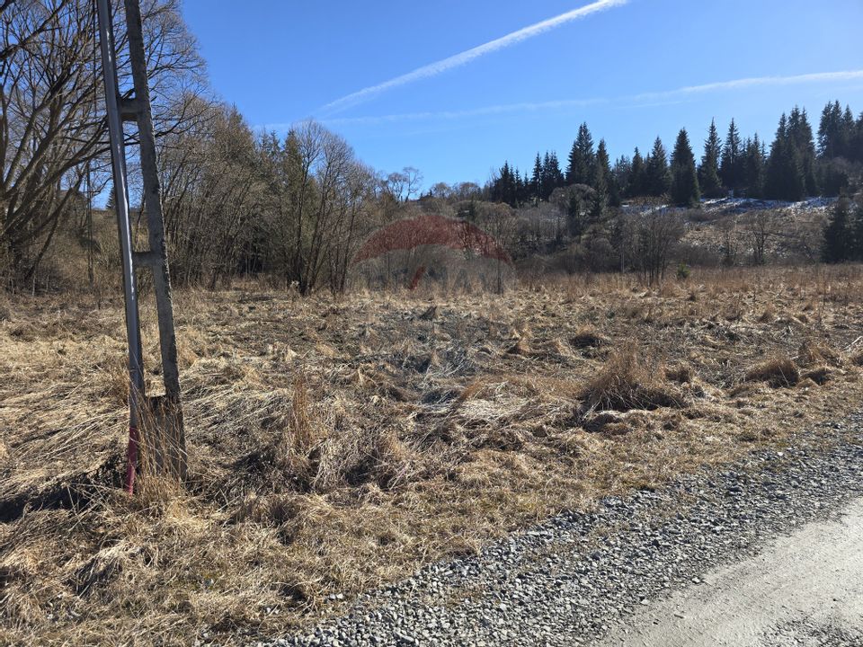 Land 3,135sqm Dorna-Arini / Drumul GURA NEGRI