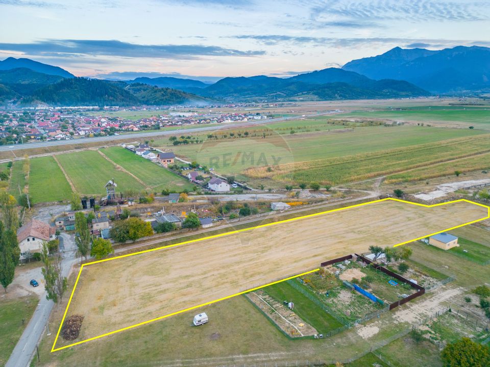 Land 10,000sqm Rasnov / Strada Alecu Russo