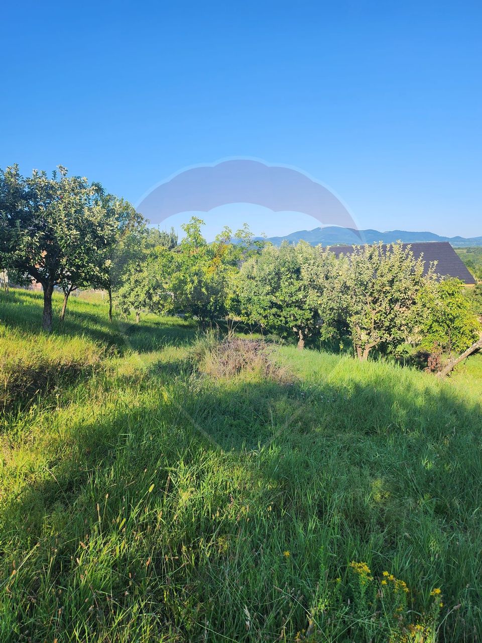 Land 2,000sqm Grosi / Strada Dumbravei