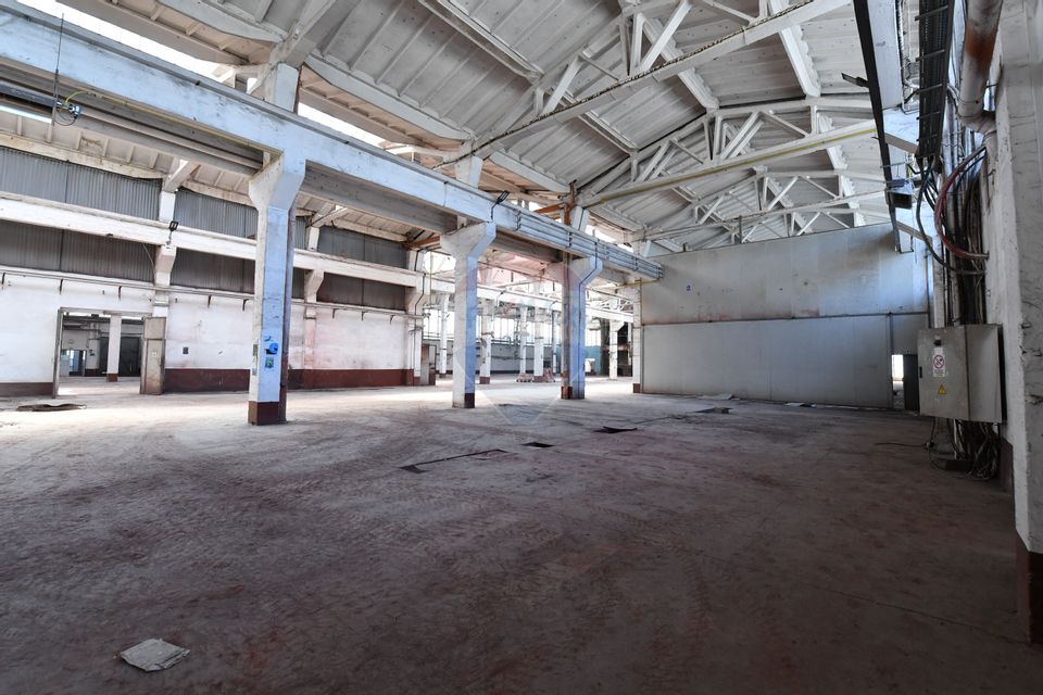 Teren industrial 35.000 mp cu hale de productie Craiova