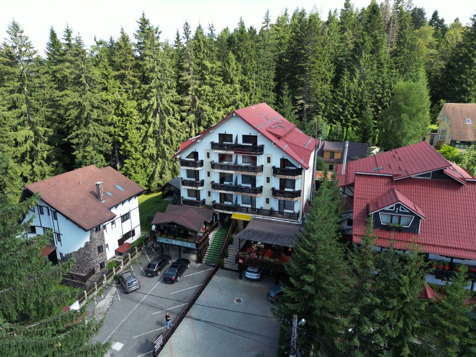 14 room Hotel / Pension for sale, Vladet - Trei Brazi area