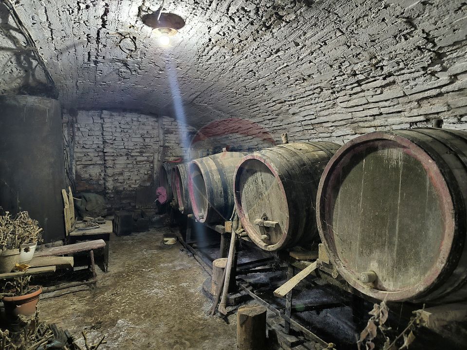 Casă săsească 3 camere si 1400 mp teren in Brateiu - jud. Sibiu