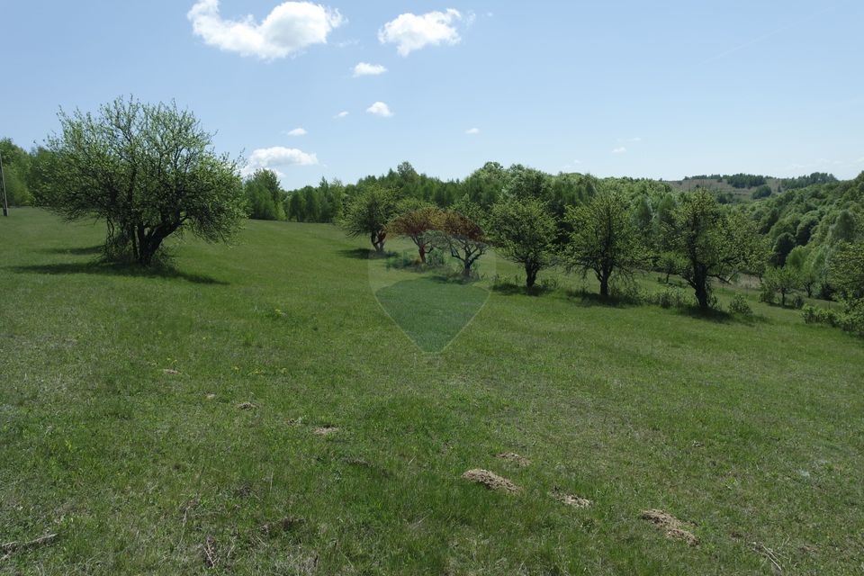 TEREN DE VÂNZARE ÎN PRELUCA NOUA