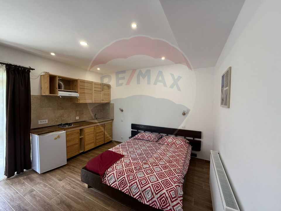 8 room House / Villa for sale, Sud-Vest area