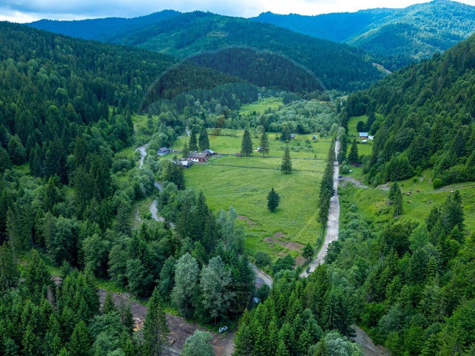 Fermă de vânzare, teren 21436 mp intravilan, Coșnea, Agăș