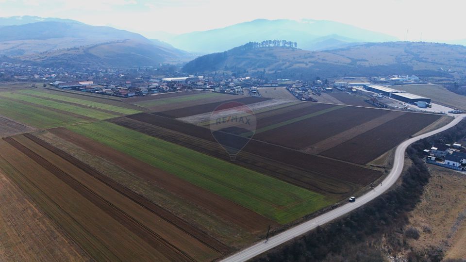 Teren extravilan | 14,600mp | Tărlungeni