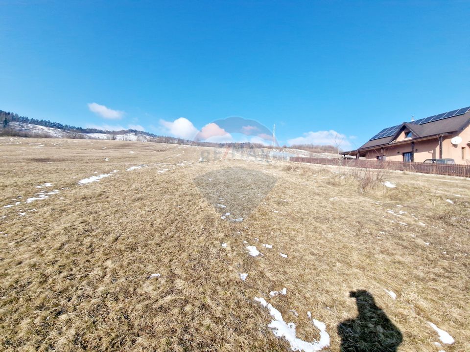Teren 2,344mp Garcina / Aleea Coasta lui Bojoaga