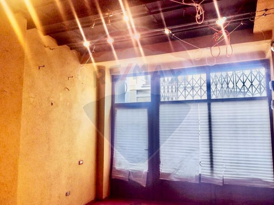 10 room House / Villa for sale, P-ta Unirii area