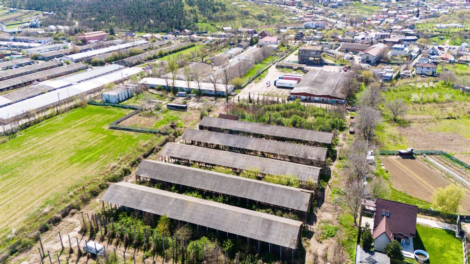 Teren Industrial 3Ha și Hală 1000mp de Vânzare în Tomesti - IAȘI