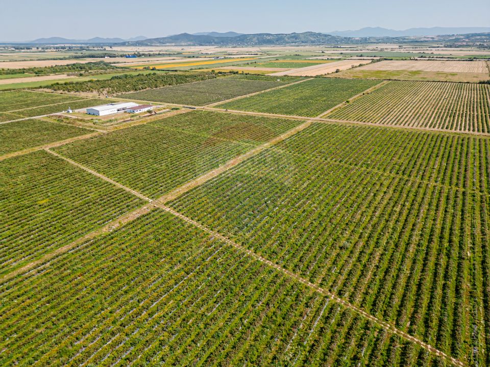 Land 27,720sqm Seini / Drumul E 58