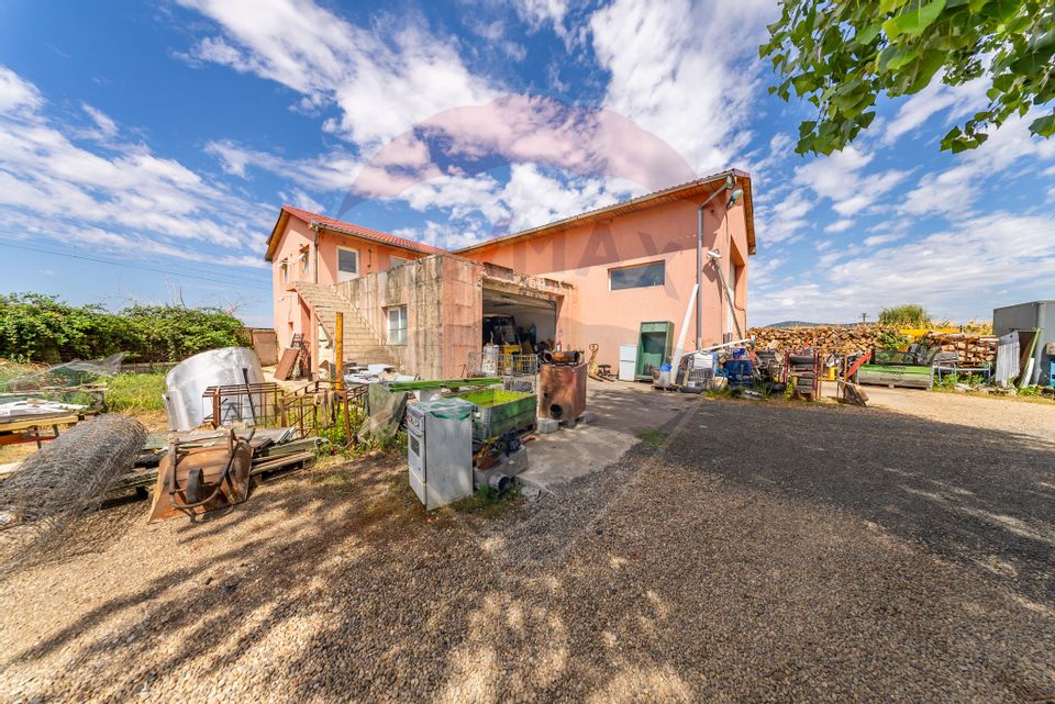 Spațiu industrial cu potential de vanzare in Paulis,Arad