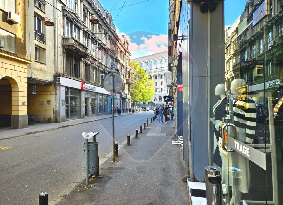 15 room House / Villa for sale, Universitate area