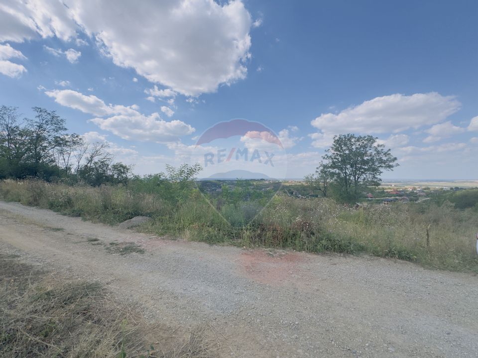 Teren  6.372mp Strs.Piersicilor/Str.Prunilor