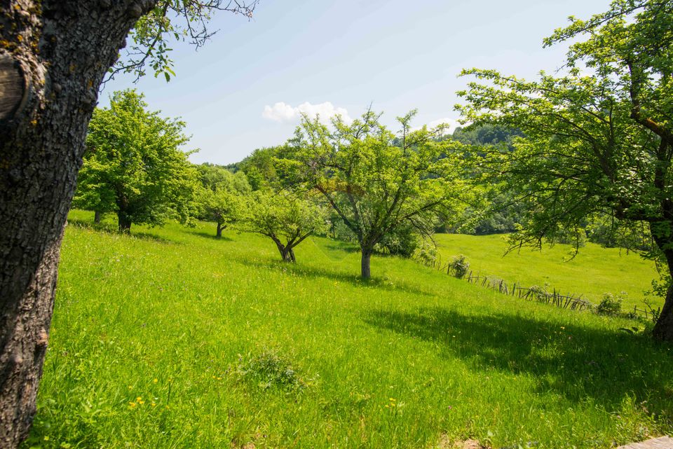Teren cu utilitati, 5,495mp Bran - Strada Muchia hotarului