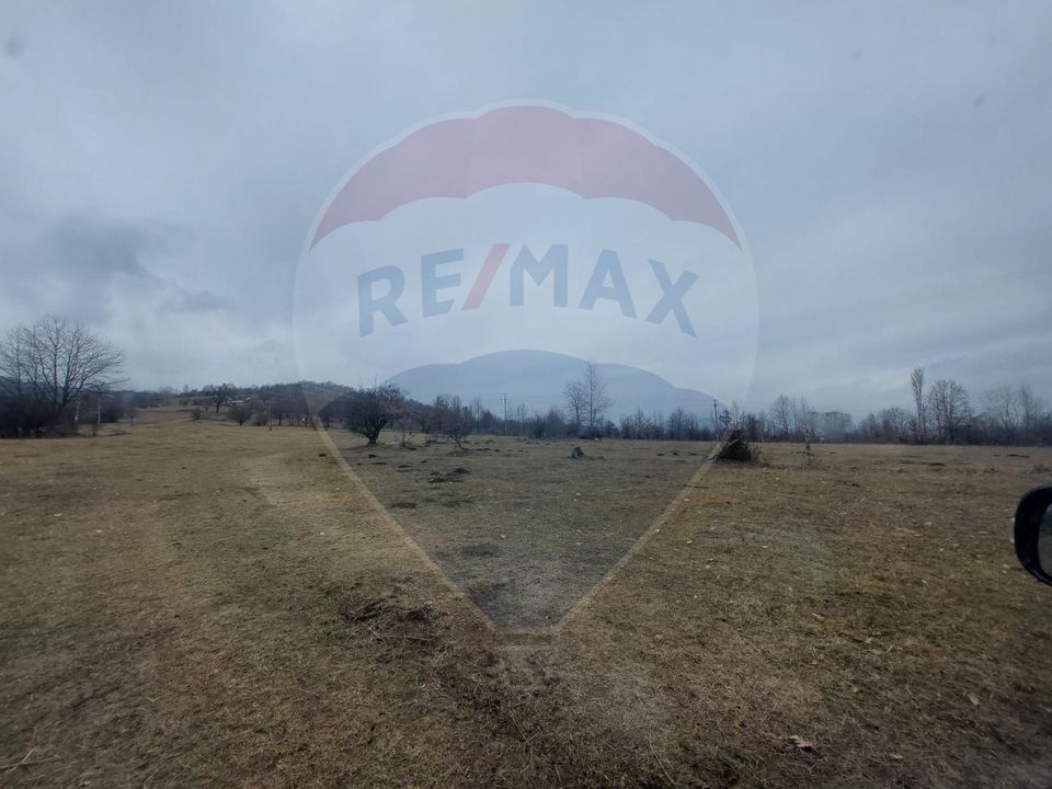 Land 11,400sqm Comanesti / Prelungirea Punct podina