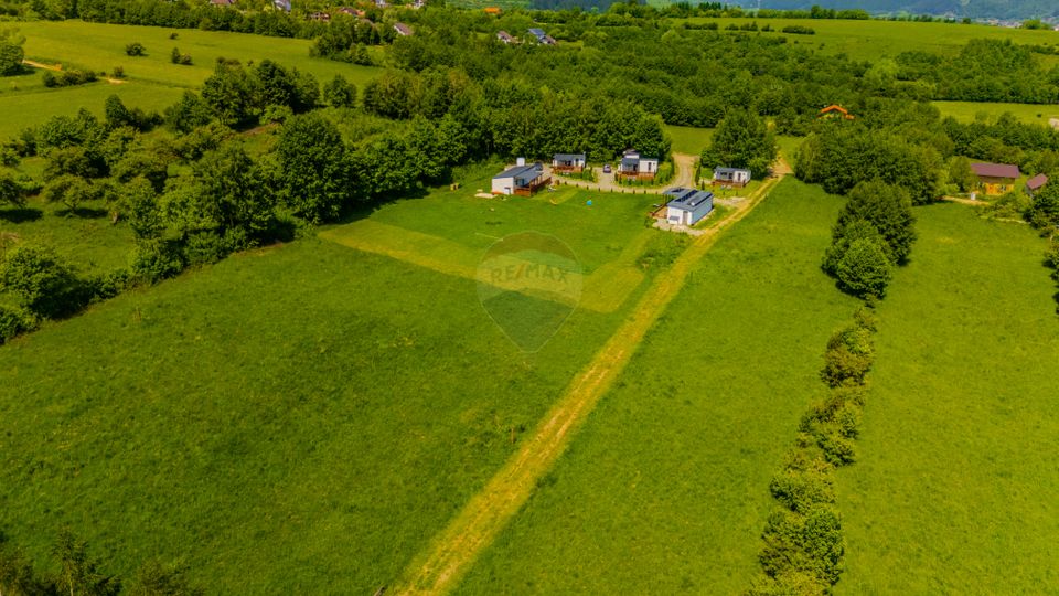 Land 6,000sqm Zarnesti / Strada Tohanita