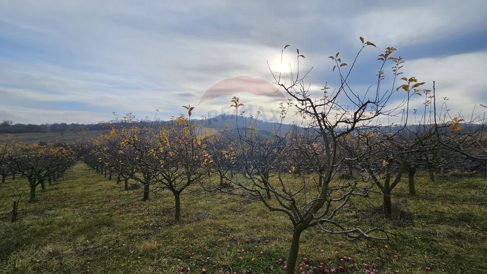 Teren extravilan 10,791mp Falticeni / Strada DJ209A, Opriseni