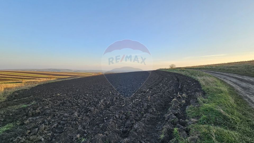 Land 30,077sqm Stroiesti / Soseaua DN17