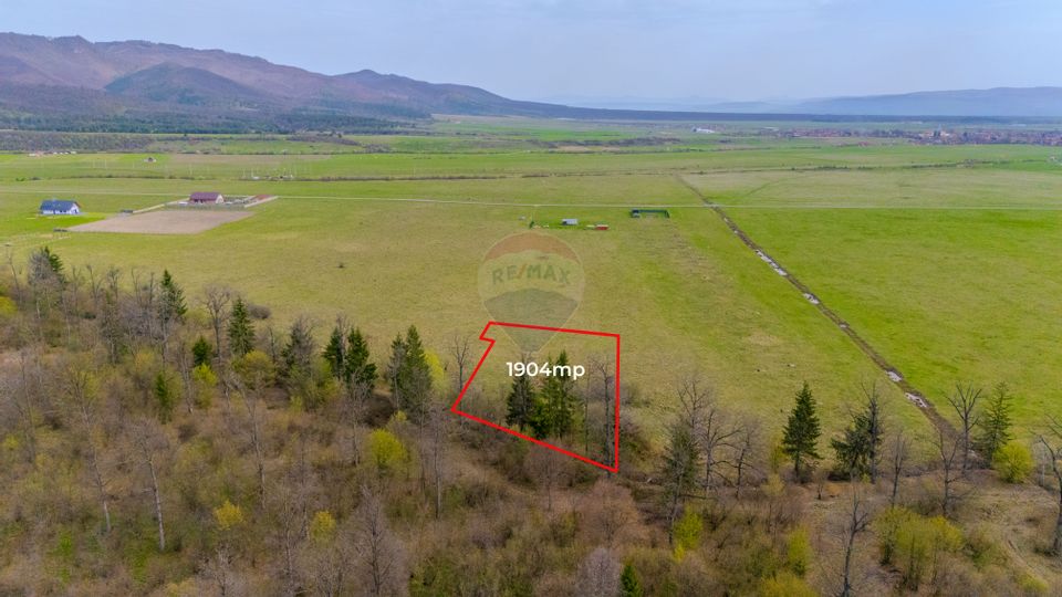 Teren Crizbav 1904 mp/PUZ/Langa Padure/Intravilan