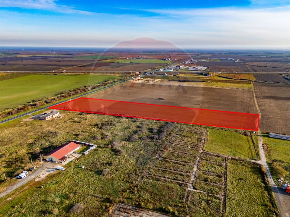 Teren 29220 mp Pecica,DN7, langa autostrada- Ideal pentru afaceri