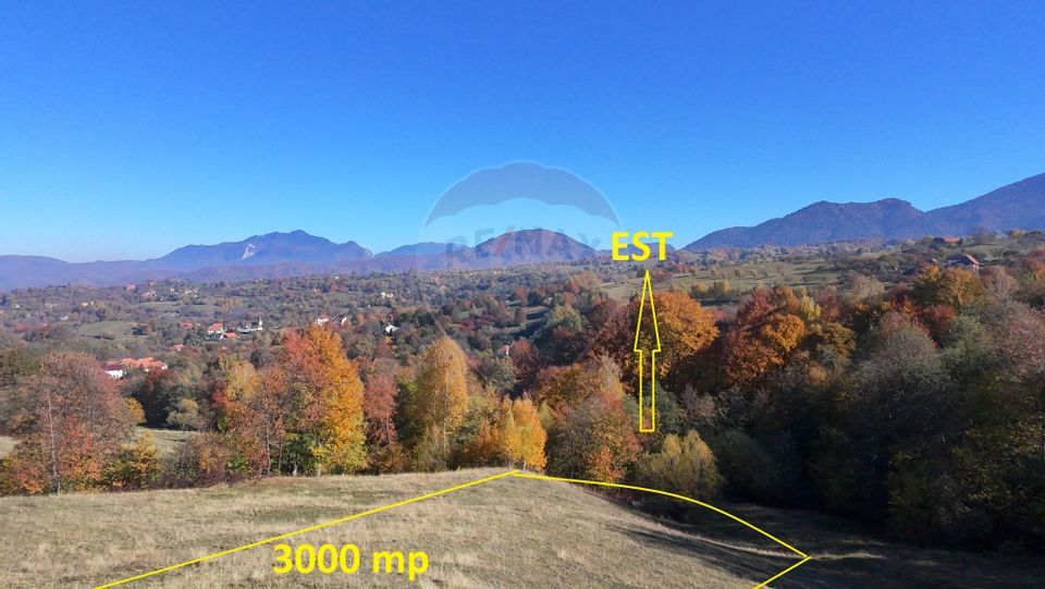 Teren 2,500mp Bran / Strada Bradul Inalt