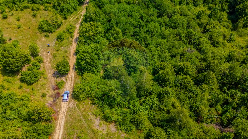 COMISION 0% Teren Grid/Inima Naturii/ Oportunitate de investiție