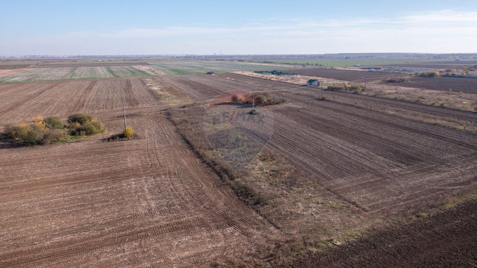 Land 7,400sqm Sabareni / Strada Primaverii