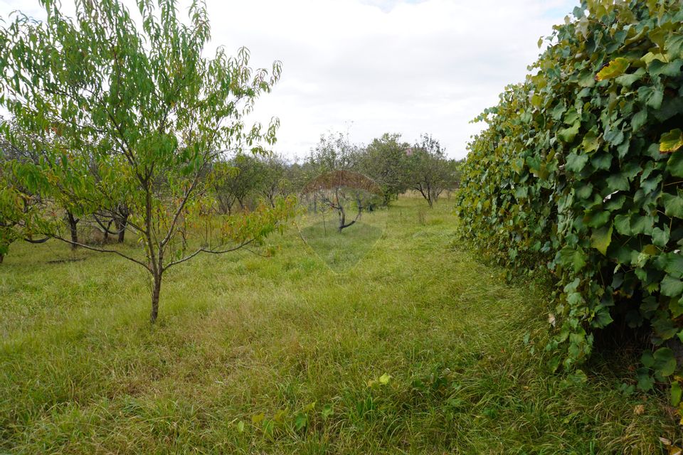 Teren 6,458mp Sighetu Marmatiei / Strada Doboies