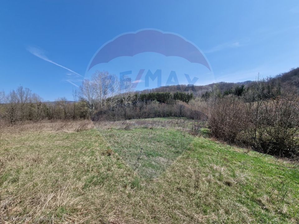 Teren 9,428mp Podiș / Calea Moinesti