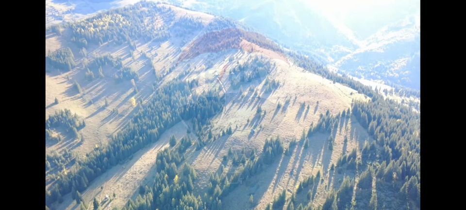 Teren 47,732mp Panaci / Strada MIhailet