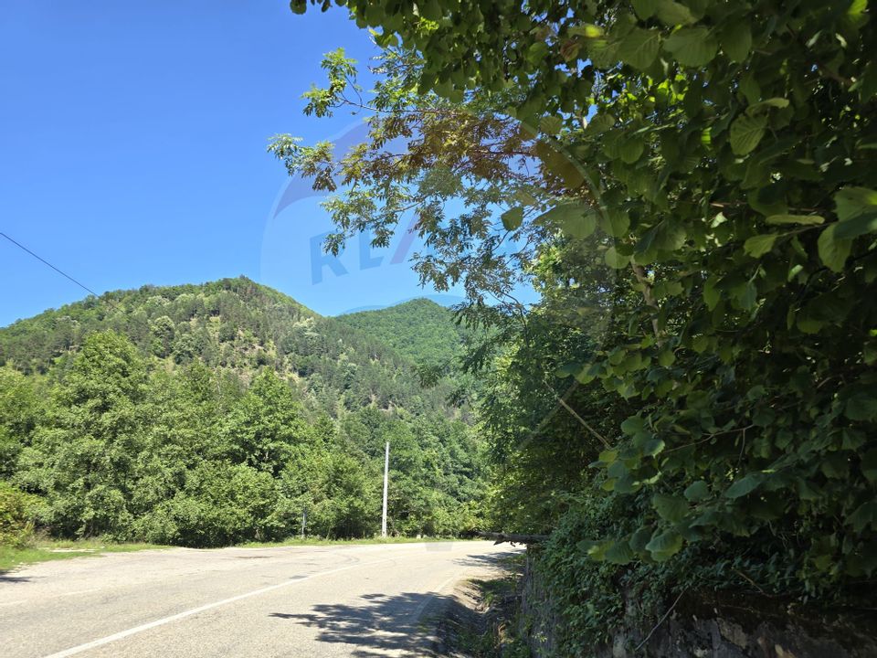 Teren 4,000mp Pascoaia / Soseaua Punctul Chiliilor