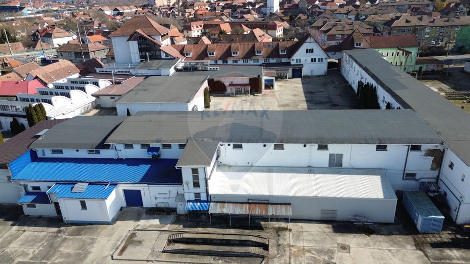 Fabrica de preparate si conserve din carne  la Medias