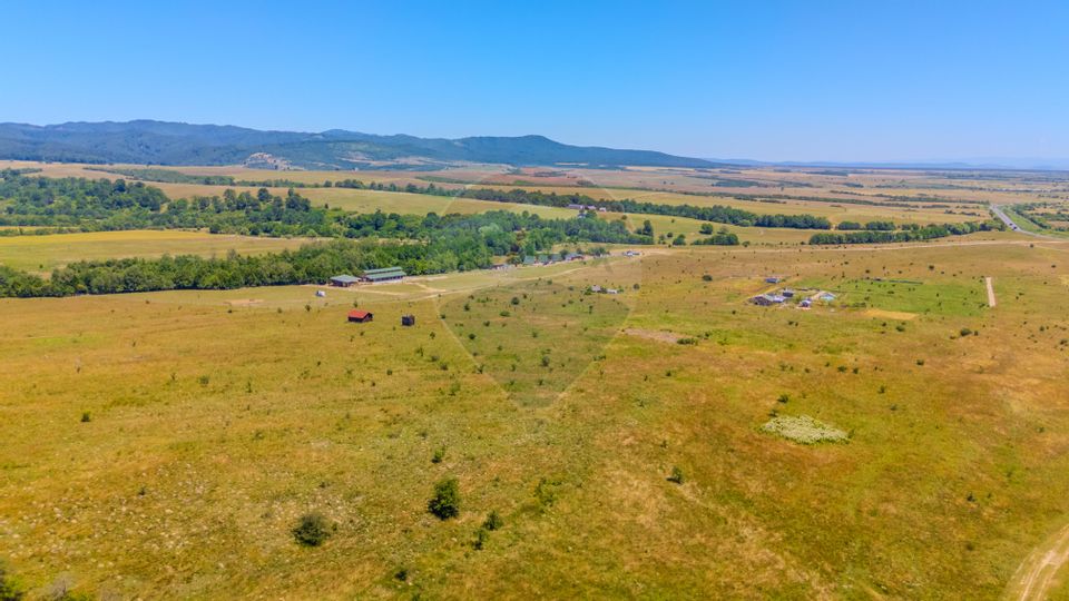 COMISION 0% Teren de 1690 mp/ proiectul LaDumbrava/PLATĂ ÎN RATE