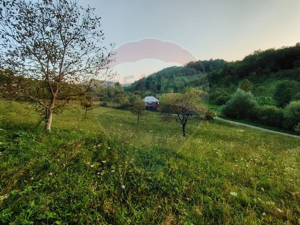 COMISION ZERO - Teren 2339 mp in Barsana