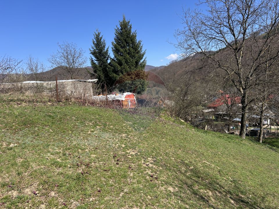 Land 1,106sqm Baia Mare / Strada Firiza