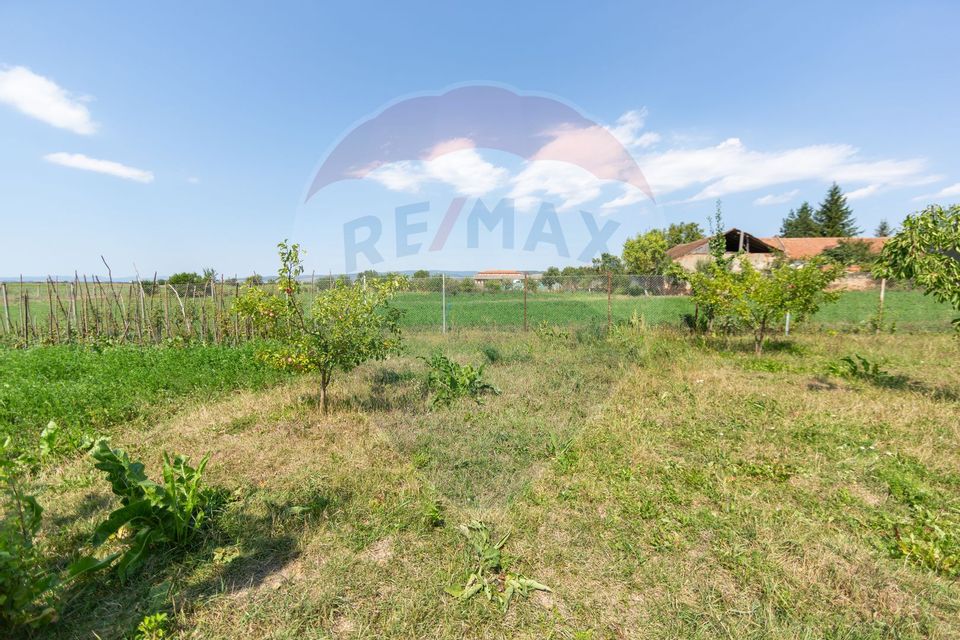 Casă săsească autentică cu livadă și teren generos 2979 mp – Bod
